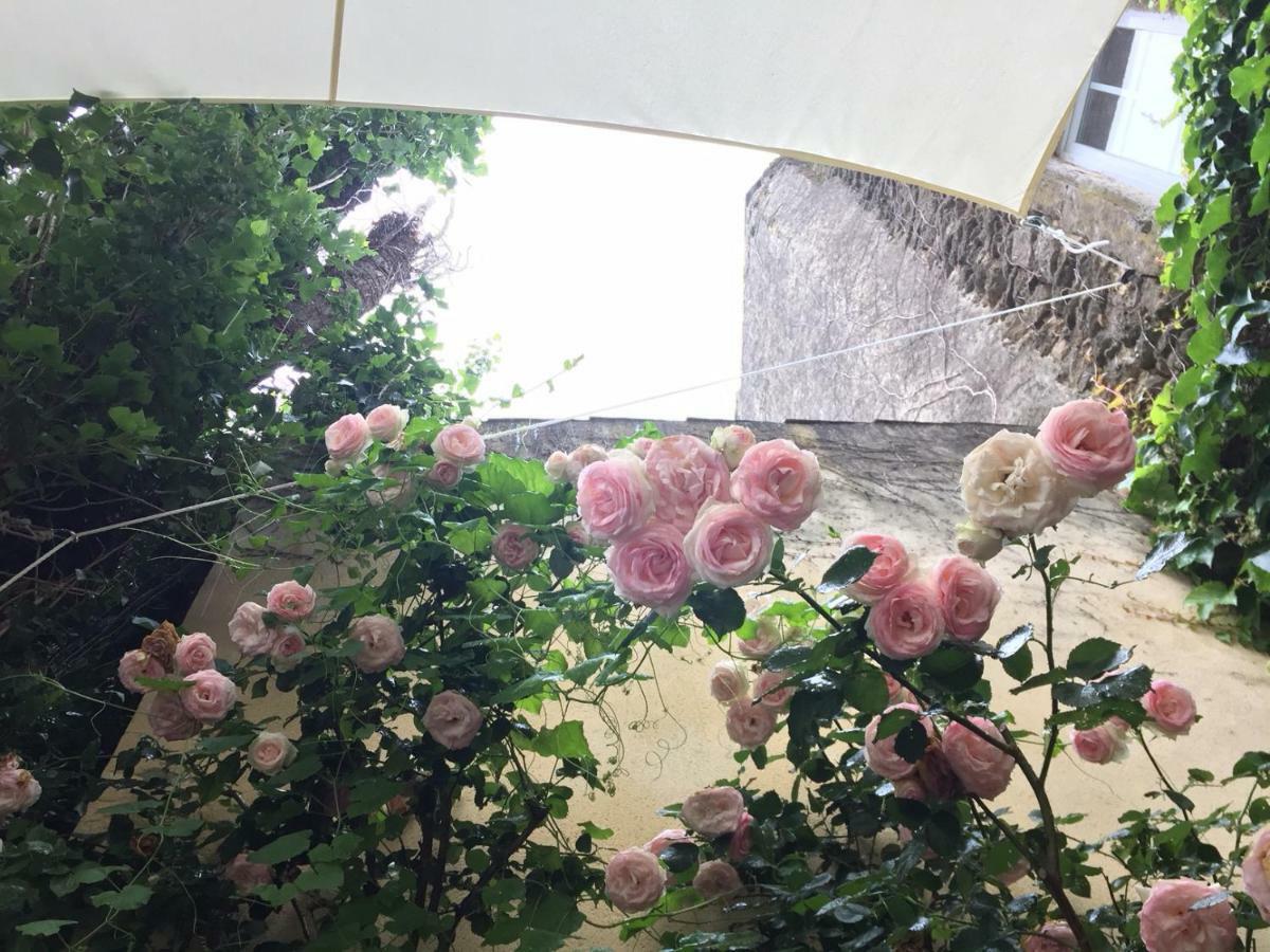 Les Aiguieres En Provence Acomodação com café da manhã Suze-la-Rousse Exterior foto